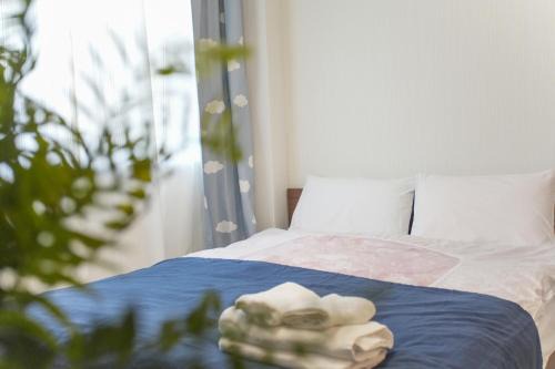 Asakusa Apartment | せんそうじ徒歩圏 l Asakusa 5 Chome KazeNoItsu 101