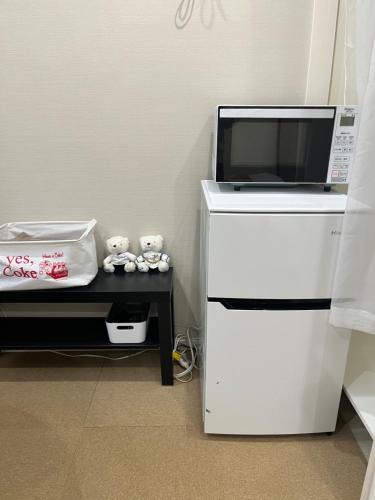 Asakusabashi Apartment | 新田202车站步行4分钟秋叶原民宿成田羽田机场直达
