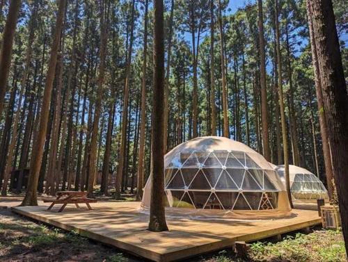 Shibukawa Other | Akagi Tokiwa Forest Campsite - Vacation STAY 84739v