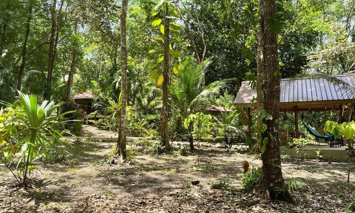 San Ignacio House | Three Jungle Cottages near San Ignacio~6 beds~AC~ Restaurant at the property