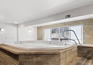 Fallridge 210 - Bright One Bedroom in Vail