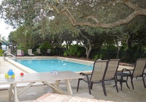 New Listing!! Cozy 1 bedroom condo in quiet setting on the second floor!! in Inlet Beach