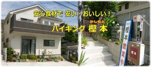 Koya-cho House | バイキング樫本