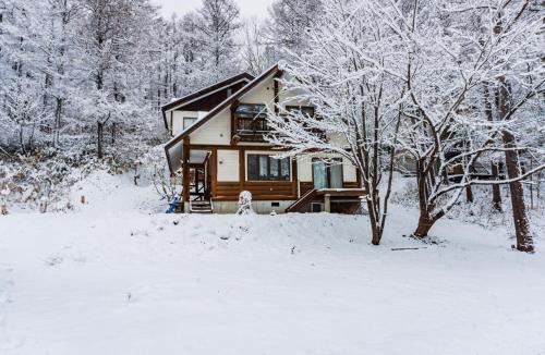 Shinano Apartment | ラ・コリナ リトリート La Colina Retreat