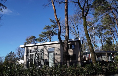 Bosgebied Hoenderloo House | Forest-View Tiny House