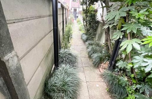 Jingumae Villa | Hidden Retreat near Omotesando, Harajuku & Shibuya