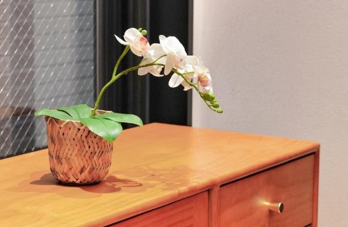 Iriya Apartment | ROKU GRKU Newly Renovated in 2026, Designer Bunk Room, 5 Min to Iriya, King Lower Bunk and Single Upper Bunk, Easy Access to Ueno and Asakusa, Sleeps 3