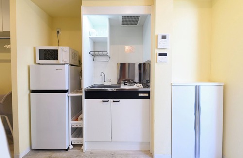 Shinjuku Apartment | Skyfeel Okubo B