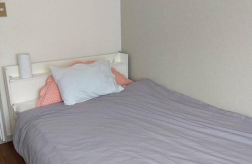 Kamata Apartment | Sun and Moonホテル302