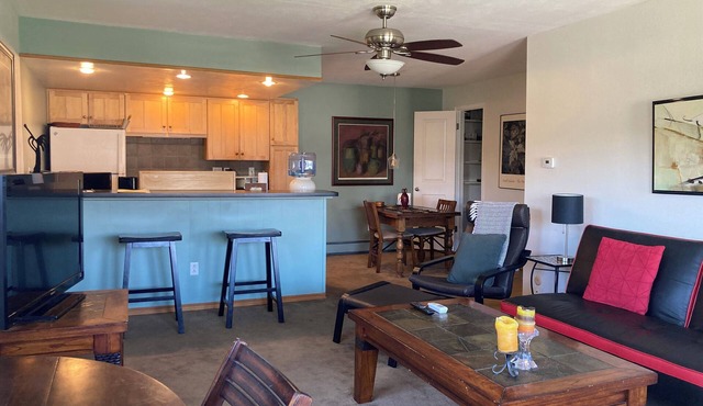 1-BR BRIGHT & CHARMING APT NEAR CU AND DOWNTOWN in Boulder