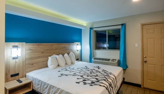 1 King Bed|Kitchenette in Dallas