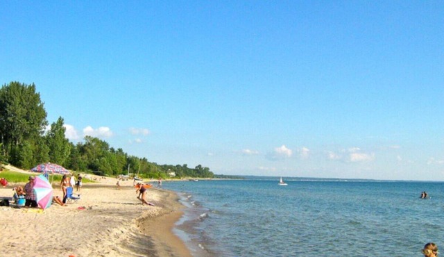 2 Bdrm Cabin - Balm Beach Views! in Tiny