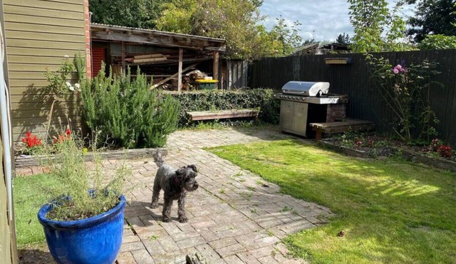 Alpine haven ready for holiday memories to be made in Methven