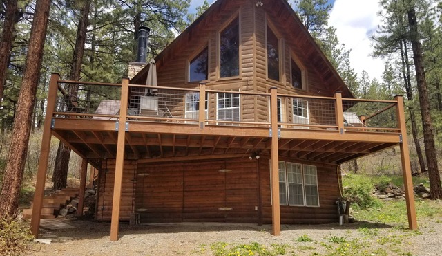 Altitude Adjustment cabin near Wolf Creek - pet friendly in Pagosa Springs