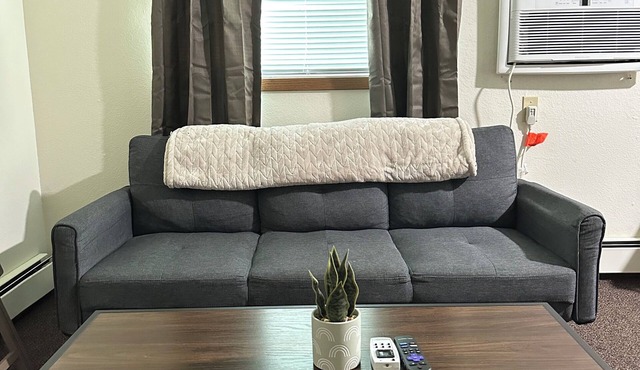Awesome Handicap Accessible Studio with AC in Charming St. Cloud and Near SCSU! in St. Cloud
