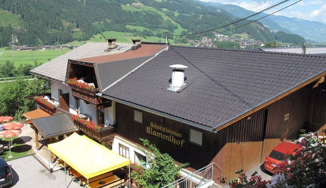 Beautiful apartment in villa for 7 people with WIFI, TV and terrace in Mitterdorf