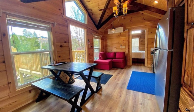 BMV1 Awesome "Tiny Home" A/C, Mountain Views, Minutes to Skiing, Hiking, Attractions, Dog Friendly! in Twin Mountain