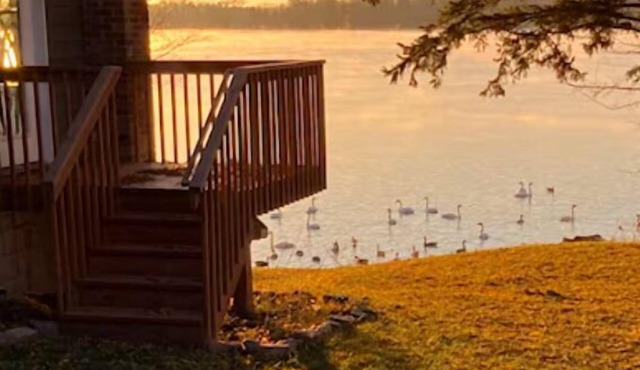 Cozy Getaway + Firepit + Lake + Relaxing Anytime + Peaceful Nights + Perfect in Maple Lake