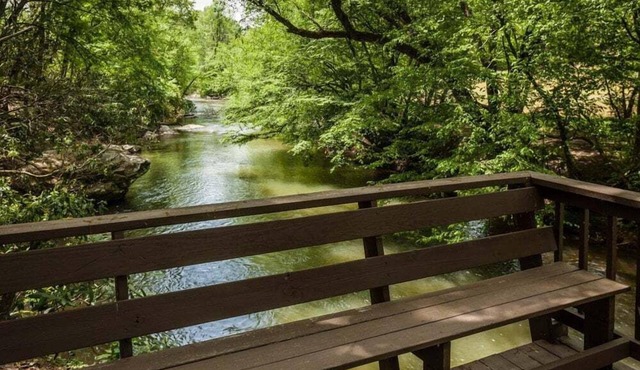 Dancing Waters by Mountain Oasis | Riverfront Cabin in Ellijay in Ellijay