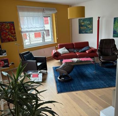 ESC-Basel-Flat - Whole rent to save our MUSICAL THEATER BASEL in Basel