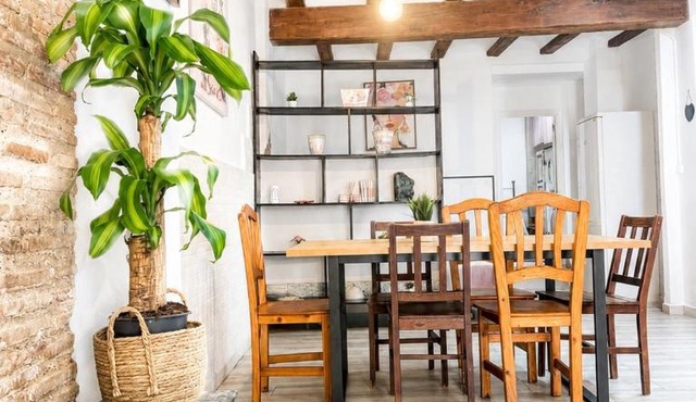 FLATS BOTANICO RUSTICo in Valencia