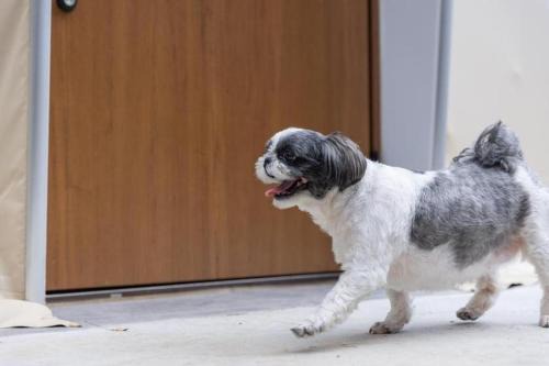 Glamping Resort Venus - Vacation STAY 37385v