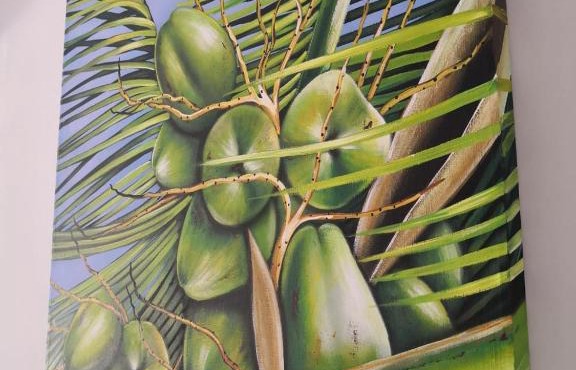 Los Cocos de Chacá in Progreso