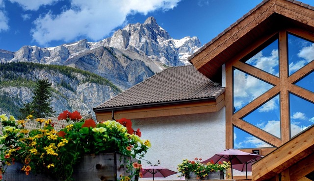NEW + Unique Wolf Condo | Hot Tub Access in Banff