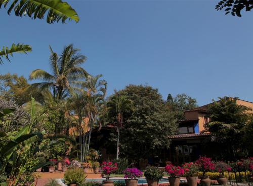 Orchidelirium Casa Hotel & Salud Estética in Cuernavaca