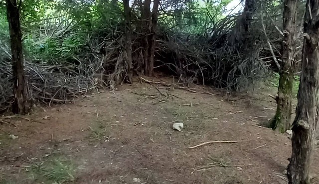 Rabbit's Den @B Berry Farms in Elkland