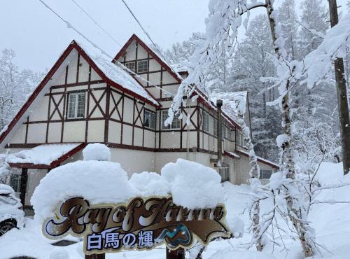 ray of hakuba 白馬の輝き