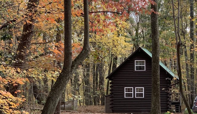 Remodeled log cabin near DeSoto Falls & Mentone in Mentone