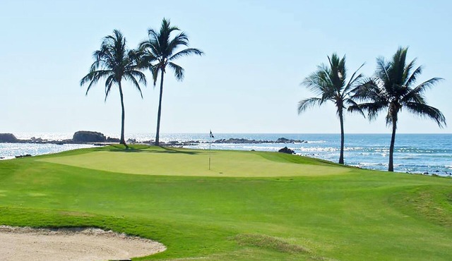 Special Rates inside the gates with Golf and golf cart. Full daily housekeeping in Punta Mita