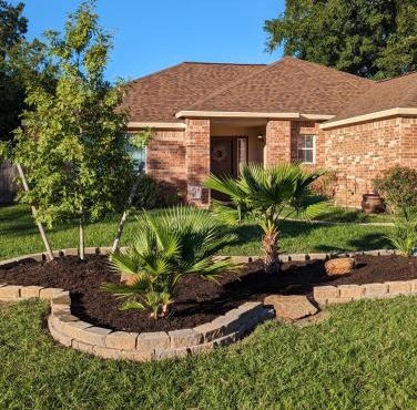 The Sunrise Oasis in Willis