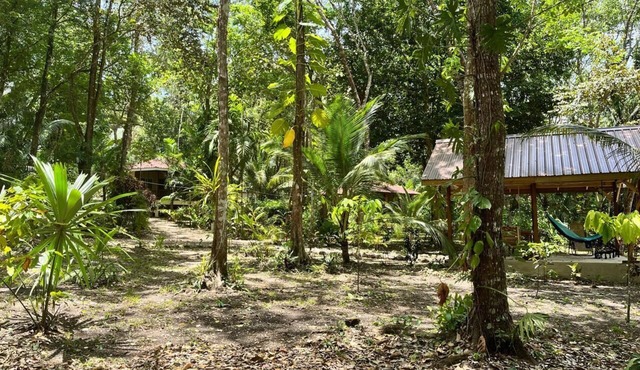 Three Jungle Cottages near San Ignacio~6 beds~AC~ Restaurant at the property in Cristo Rey