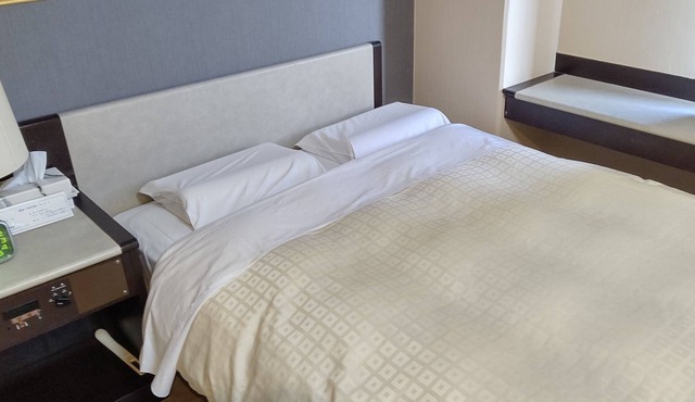 Tsuyama Central Hotel Town House