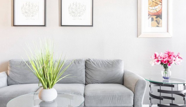 Work Remotely in this Affordable 1 Bed 1 Bath! in Dallas