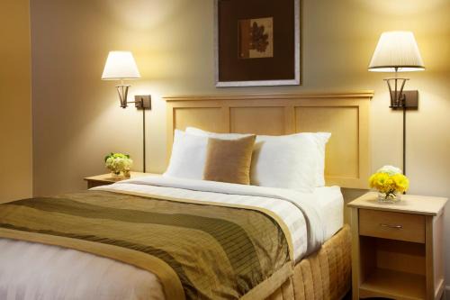 Clearwater Hotel 