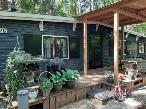 Accommodation Vledder 