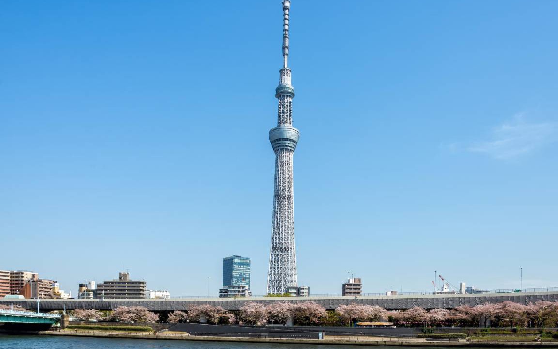 Photo of Others in Sumida