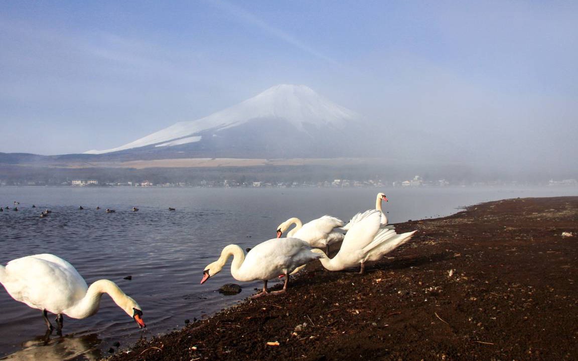 Photo of Others in Yamanakako