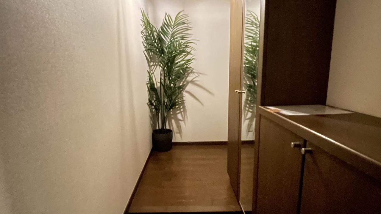 Photo of Others in Honmachi
