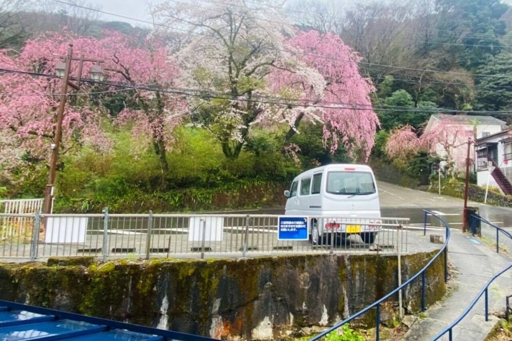Photo of Others in Hakone