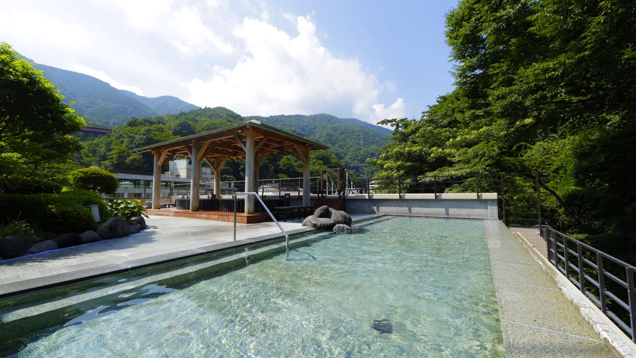 Photo of Others in Hakone Hot Springs