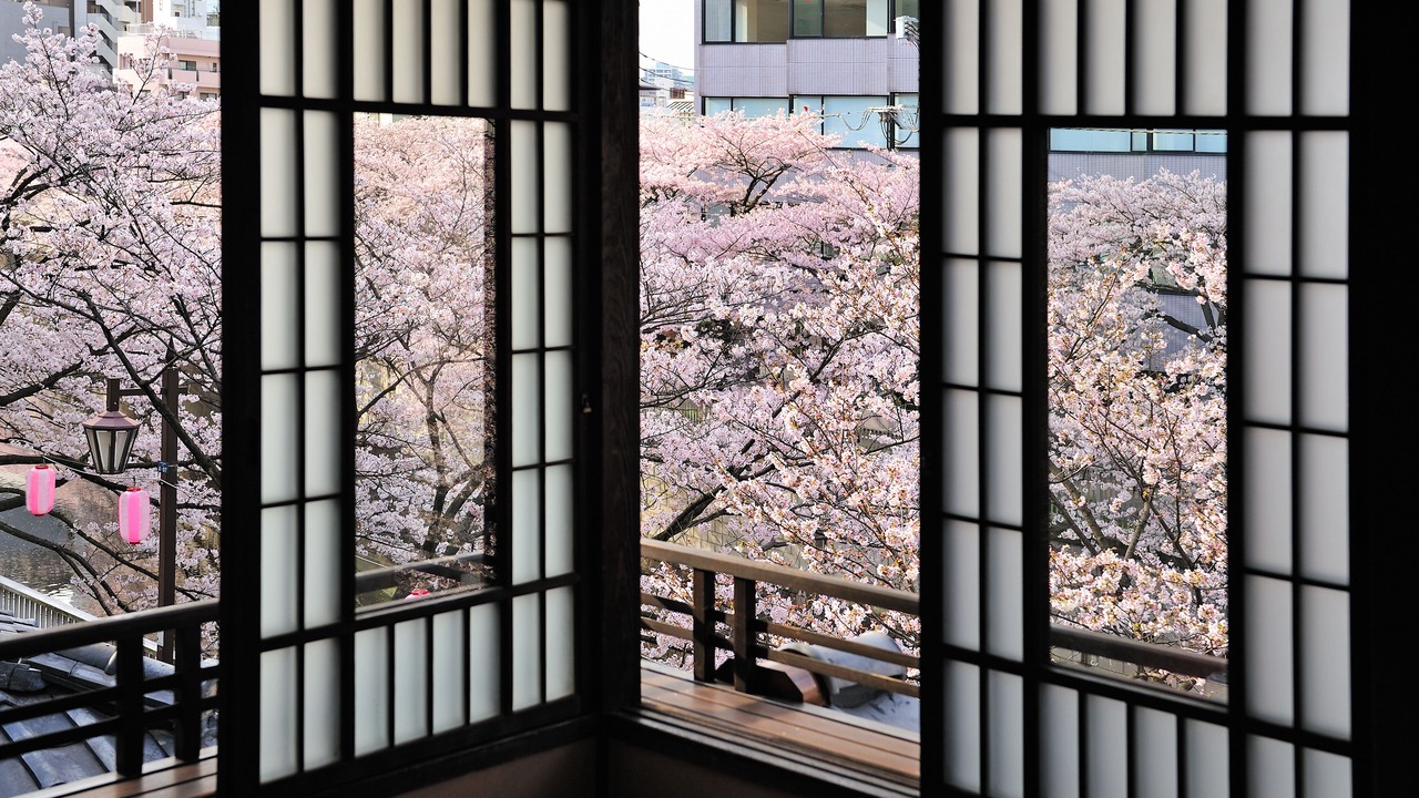 Photo of Others in Sekiguchi