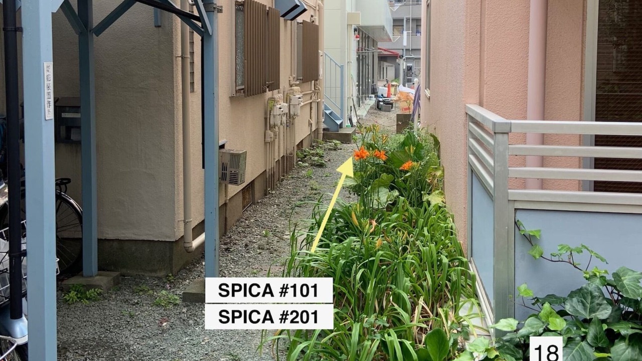 Photo of Outdoor in Kawaguchi