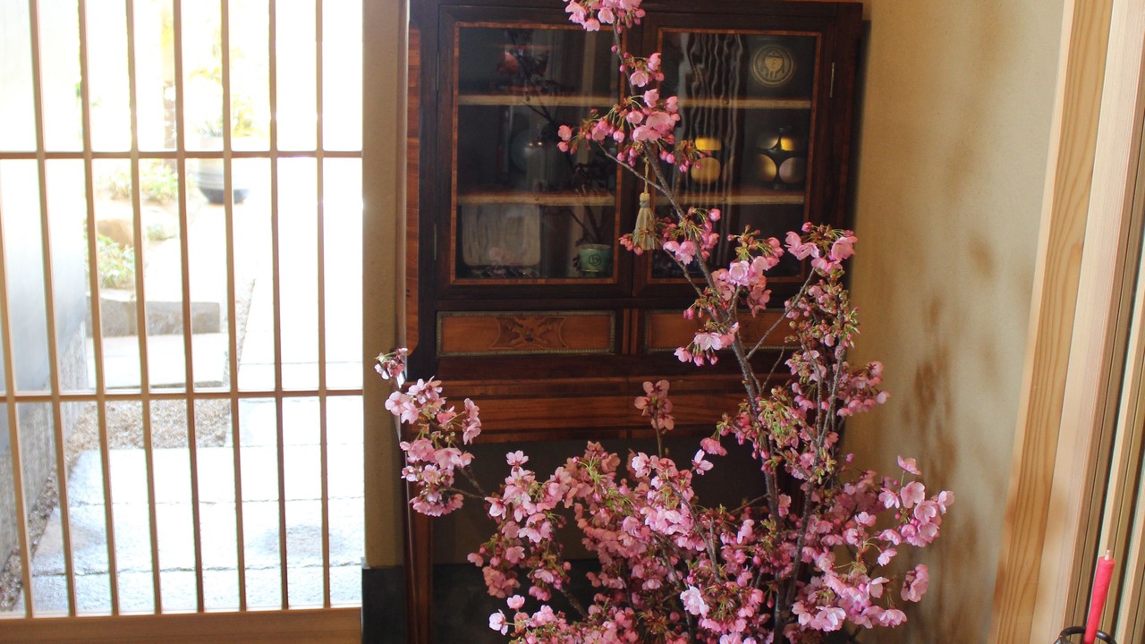 Photo of Others in Hatsukaichi