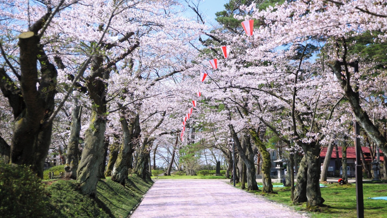 Photo of Others in Akita