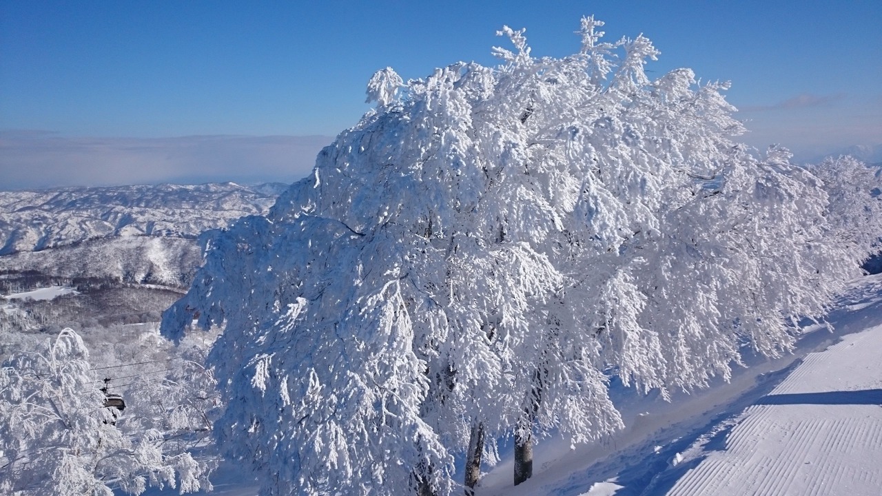 Photo of Others in Nozawaonsen