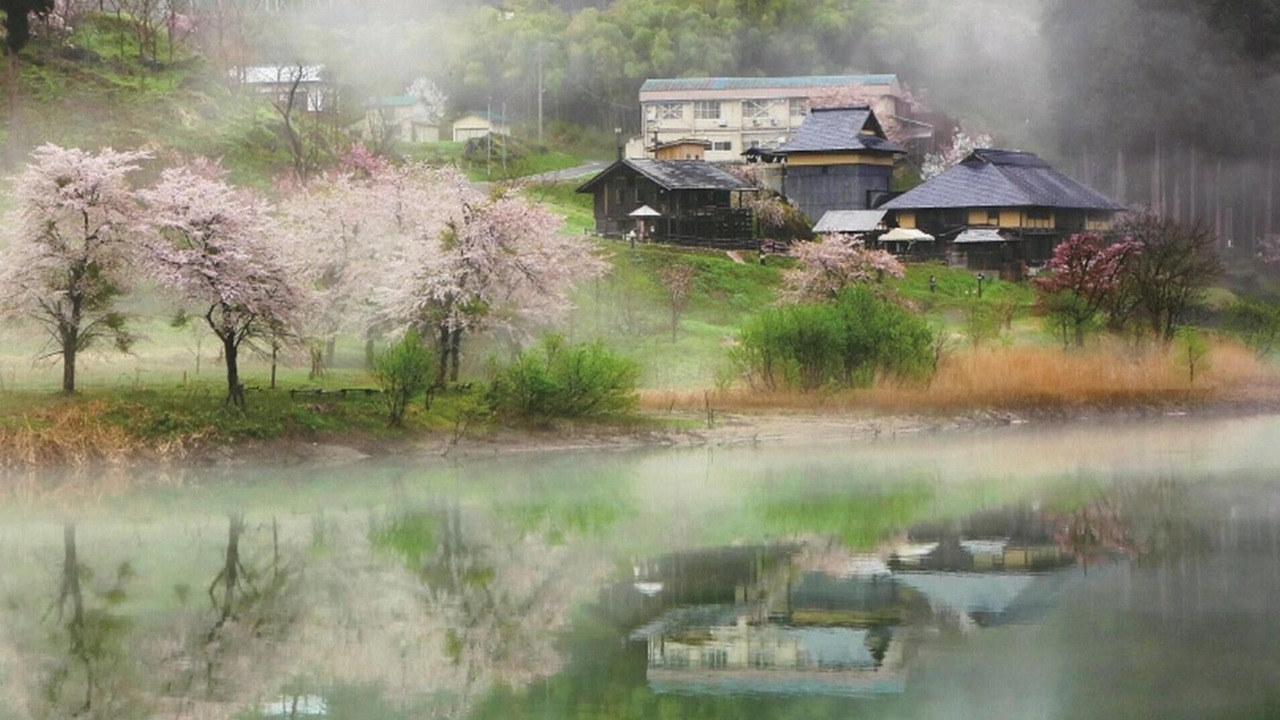 Photo of Others in Yanaizu-machi